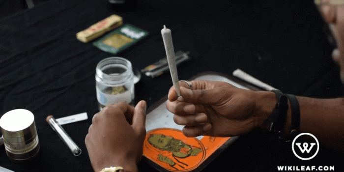 1280x720 How to Roll a Joint (Easy Step-By-Step Guide) - Wikileaf