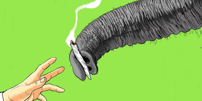 1600x1200 Legal Weed: How Republicans Learned to Love Marijuana