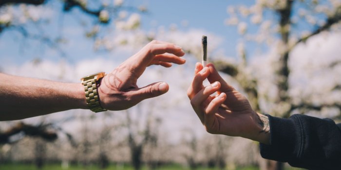 2048x1152 My mid-life marijuana crisis | Financial Times