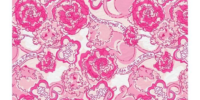 1024x900 Lilly Pulitzer wallpaper Conch Shell Pink Phi Mu | Patterns We Love