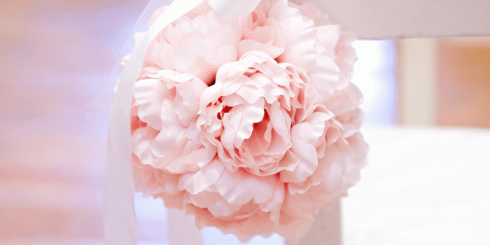 1600x1067 Phi Mu Quatrefoil Wallpaper