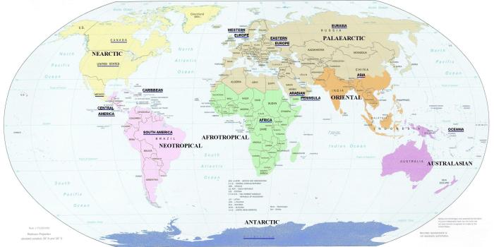 2700x1452 48 Meticulous Africa Map Desktop Background