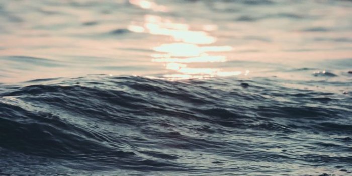 736x1308 21 Pretty Wallpapers For Your New iPhone Xs Max | Preppy Wallpapers
