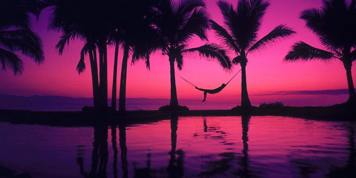 1600x1200 Palm tree sunset wallpaper (2) #10 - 1600x1200 Wallpaper Download