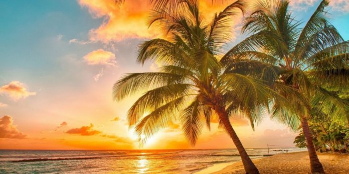 1136x700 Beach palm trees tropical sunset wallpaper | 1920x1183 | 620416