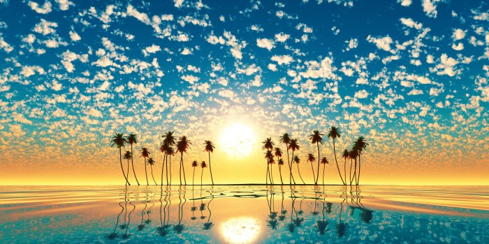 3840x2160 Palm Trees Reflection Sunset Wallpaper - Imgur