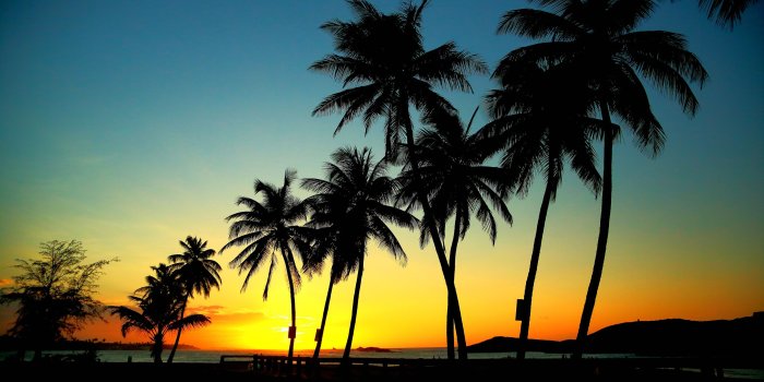 2880x1800 Palm Trees, Tree, Tropics, Printing, Sunset MacBook Pro 15 Wallpaper