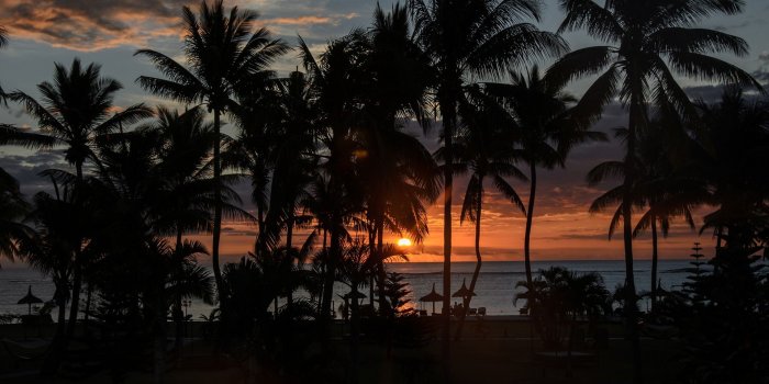 1920x1200 2954839 palm trees sun silhouette sunset wallpaper and background