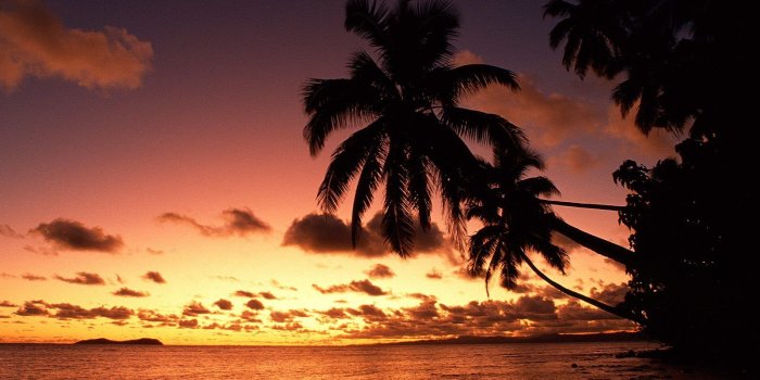 1600x1200 Palm tree sunset wallpaper (2) #17 - 1600x1200 Wallpaper Download