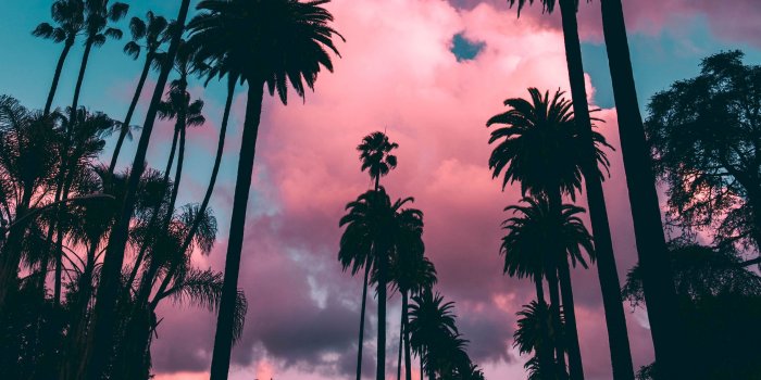 3415x3415 Download wallpaper 3415x3415 palm trees, sunset, clouds, tropics