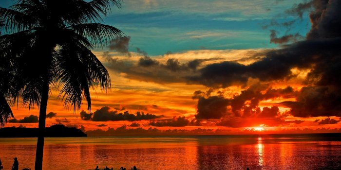 2500x1673 Palm Tree Sunset Wallpaper - (34+ pictures)