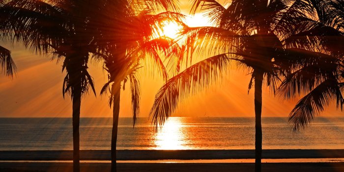 2732x2732 nl74-beach-vacation-summer-night-sunset-red-palm-tree-wallpaper