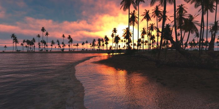 2048x1107 1280x1024 Palm Trees Sunset Sea 1280x1024 Resolution HD 4k