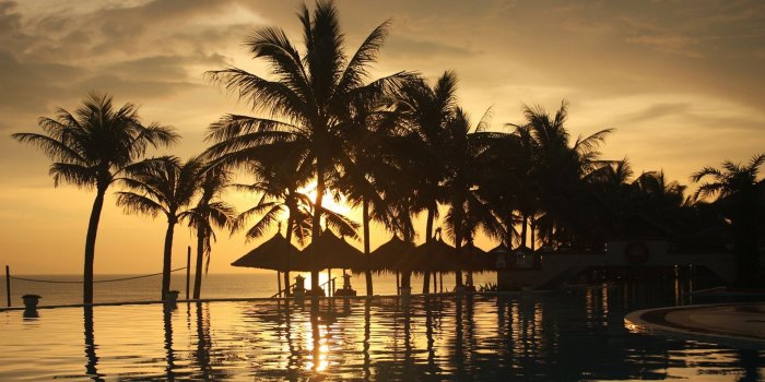 2560x1600 Palm Trees Sea Sky Sunset Wallpaper - Free Wallpapers Stock