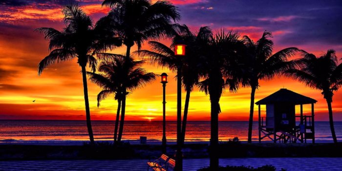 3840x2160 Horizon, Evening, Palm Tree, Sunrise, Sky 4K Ultra HD Wallpaper