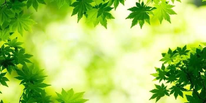 1024x1024 Kindle Fire Wallpaper (67+), Find HD Wallpapers For Free