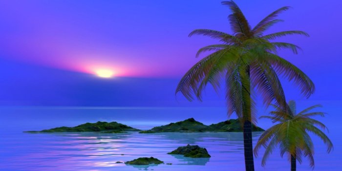 1900x1200 Desktop Palm Tree Sunset Wallpaper Palm Tree Wallpaper | NU WALLPAPER HD
