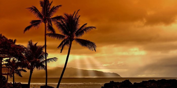 1920x1080 HD Hawaiian Sunset Wallpaper, land, palm trees, sunset, hawaiian,3D