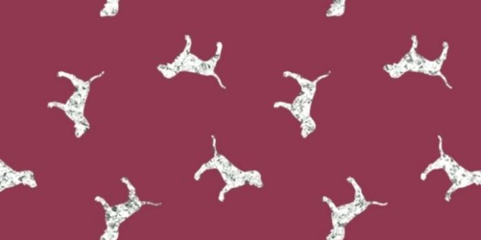 720x1280 Trend iphone Wallpaper - Victoria's Secret pink wallpaper background