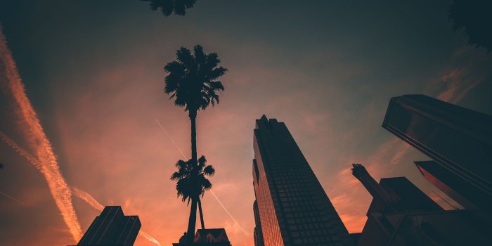 2000x1335 palm trees, Building, Sunset, Cityscape Wallpapers HD / Desktop and