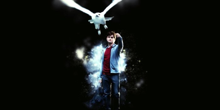 1078x741 Hedwig iPhone Wallpapers - Top Free Hedwig iPhone Backgrounds