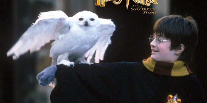 1024x768 55+ Hedwig Wallpapers - Download at WallpaperBro