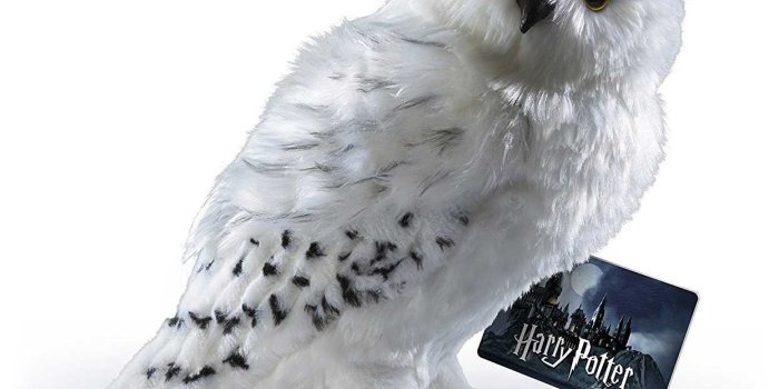 1245x1245 Hedwig Wallpapers