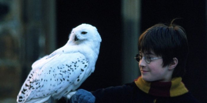 936x1417 Harry Potter and the Sorcerer's Stone - listal.com | Film, fantasy