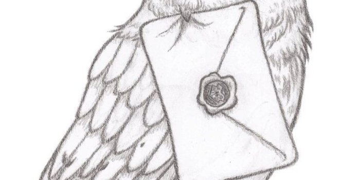 1775x1920 Best 25+ Harry potter owl ideas | Harry potter room, Harry potter