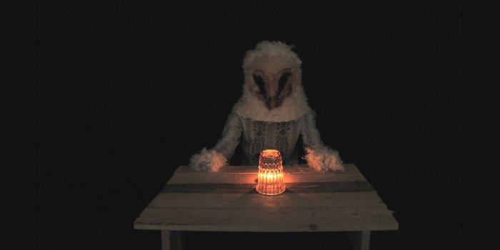 1600x900 55+ Hedwig Wallpapers - Download at WallpaperBro