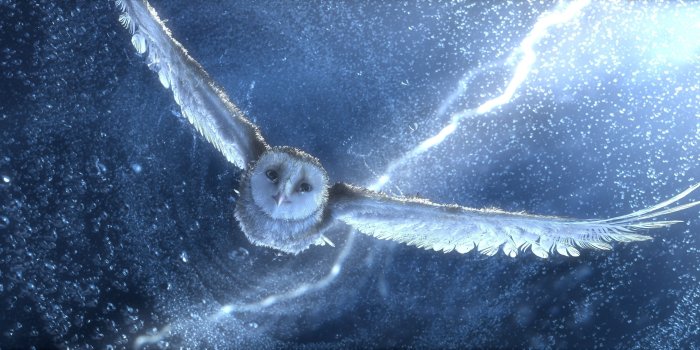 5122x2182 46 Best Free Hedwig Iphone Wallpapers Wallpaperaccess - Wallpaperzen.org