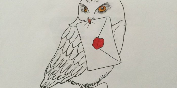 1024x768 This is my drawing of Hedwig the owl from Harry Potter (12 yrs old
