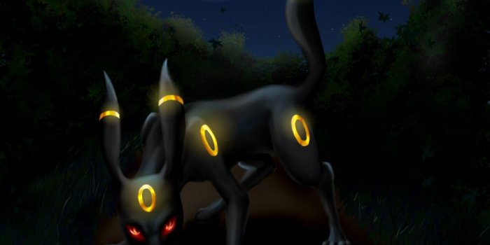 1000x874 Pokemon Umbreon Wallpapers - Top Free Pokemon Umbreon Backgrounds