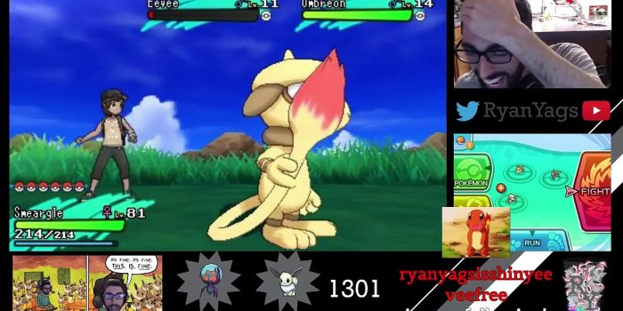 1920x1080 FLOYT (First Live On YouTube) Wild Shiny Umbreon after a WHOPPING 1301 SOS  Encounters!!!!