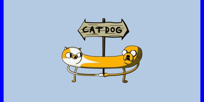 1990x1270 Funny Cartoon Wallpapers for Desktop (66+ background pictures)