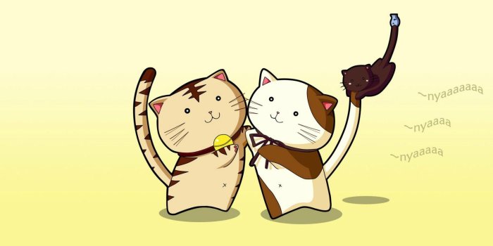 1999x1249 Download Cat Cartoon Wallpaper Hd - Animated Cats Wallpaper Hd On