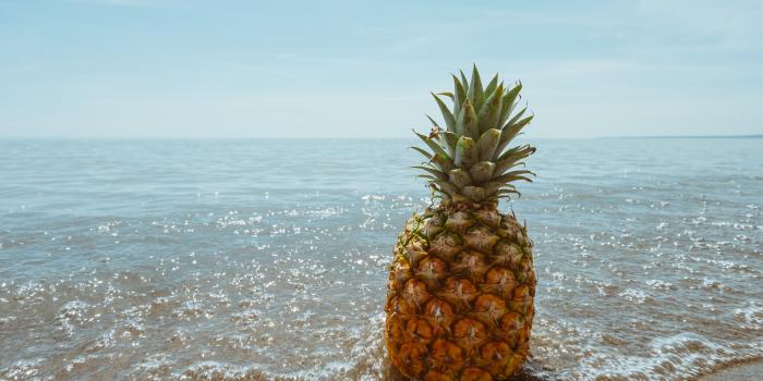 5809x3873 30+ Colorful Pineapples Beaches Wallpapers - Download at WallpaperBro