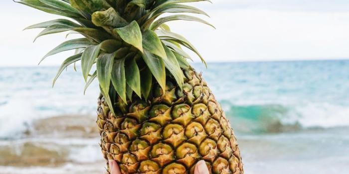 736x1103 30+ Colorful Pineapples Beaches Wallpapers - Download at WallpaperBro
