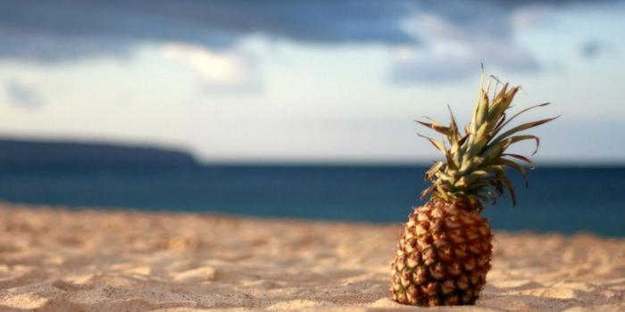 1024x768 48+] Sandals Resort Wallpaper on WallpaperSafari