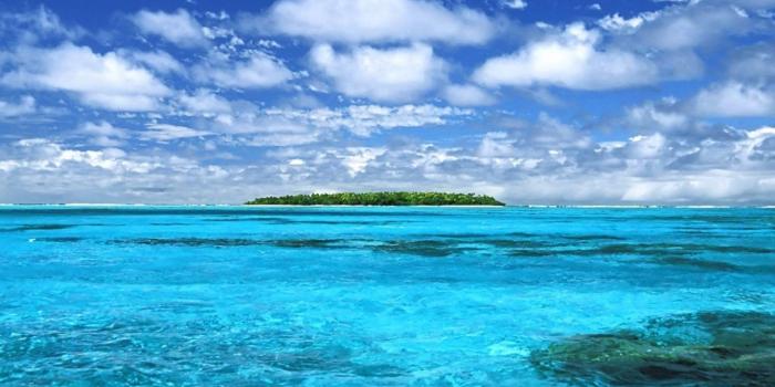 1366x768 30+ Colorful Pineapples Beaches Wallpapers - Download at WallpaperBro