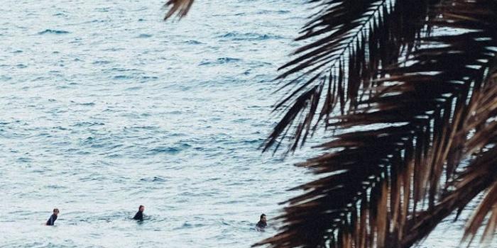 736x1308 Pale Pastels iPhone Wallpaper Collection for Beach Lovers | Preppy