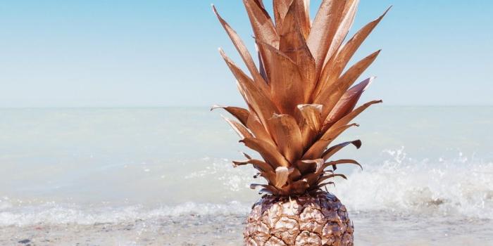 1080x1920 wallpapers #iphone | Wallpapers for iPhone | Wood wall art, Beach