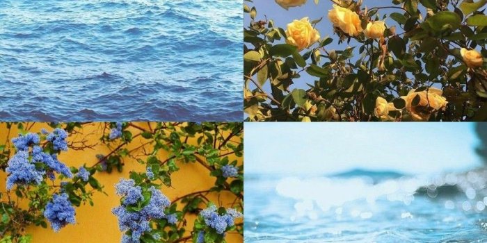 899x1600 Yellow Aesthetic Wallpapers