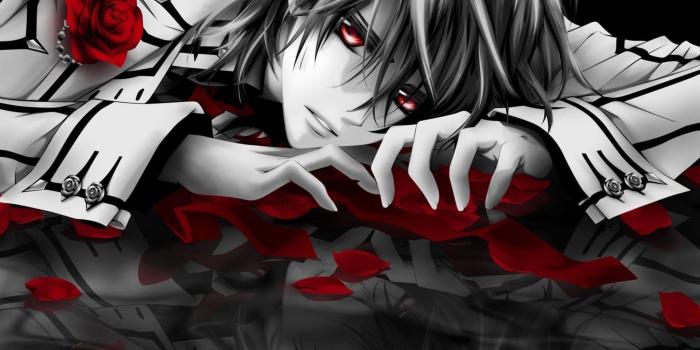 1920x1080 Sad Zero Kiryuu in Vampire Knight Widescreen Wallpaper - #20257 | My