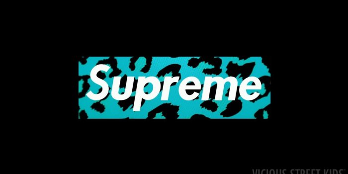 1600x900 Supreme Desktop Wallpaper(47+) Wallpaper Collections