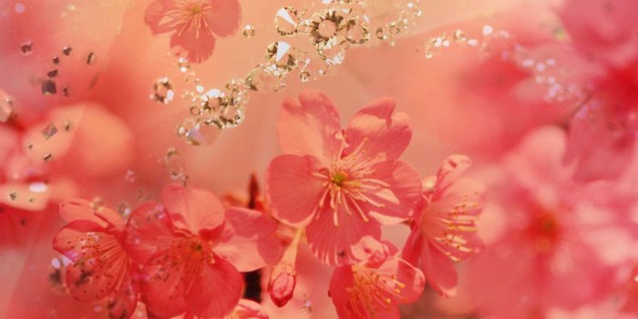 1600x1200 Pink diamonds wallpapers Gallery