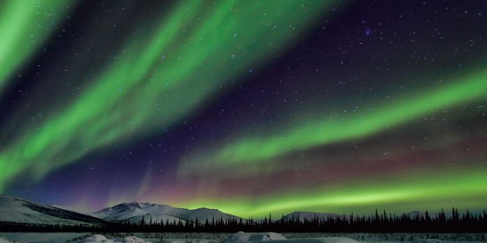 1920x1080 46+] Northern Lights Moving Wallpaper on WallpaperSafari