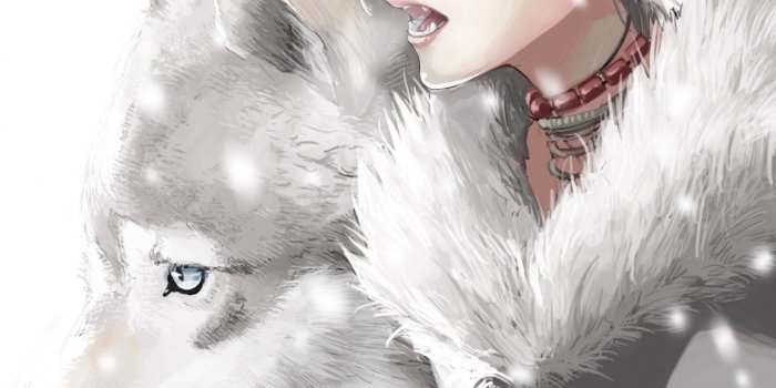 1600x2560 Download 1600x2560 Anime Boy, Wolf, Animal Ears, Gray Hair, Furry