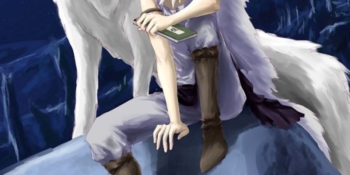 800x1200 Download wallpaper 800x1200 аnime, boy, wolf, night, book iphone 4s