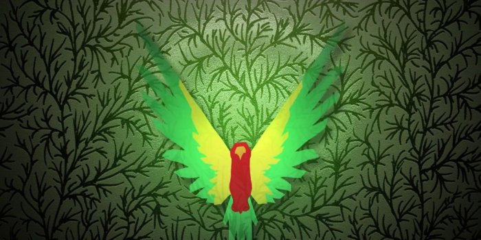 1280x720 94+] Logan Paul Wallpaper on WallpaperSafari